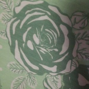 LuLaRoe Dresses - Lularoe XL mint green rose jessie LuLaRoe Dresses - Lularoe XL mint green rose jessie